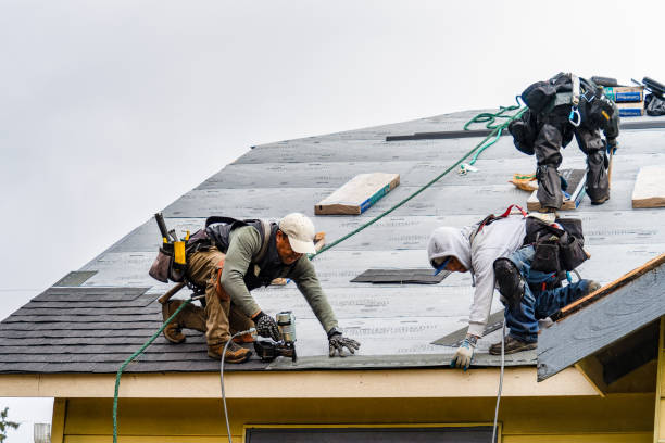 Professional Storm Damage Roof Repair technician working in Burgin, KY